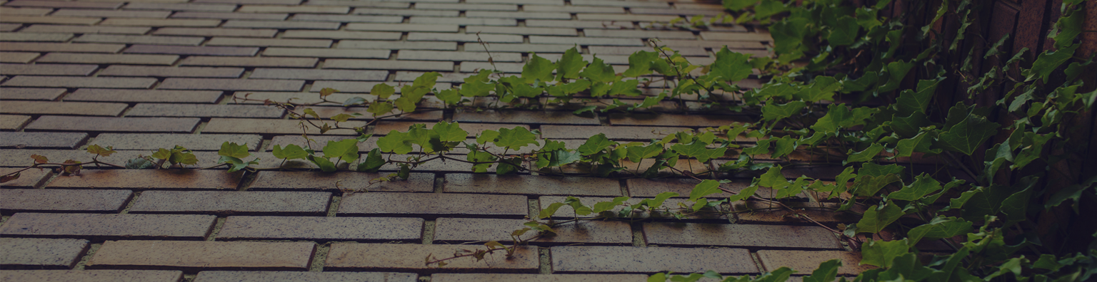 Leiame parima lahenduse Sinu soovidele ja meisterliku teostuse!